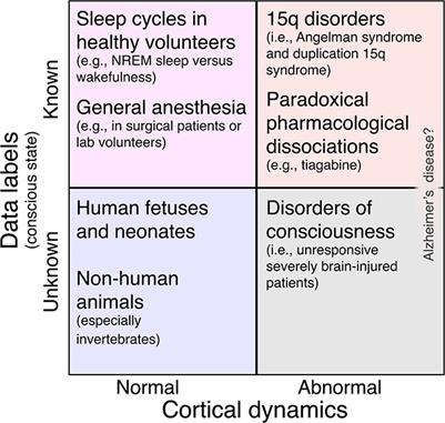 Editorial: Dissociations between neural activity and conscious state: a key to understanding consciousness